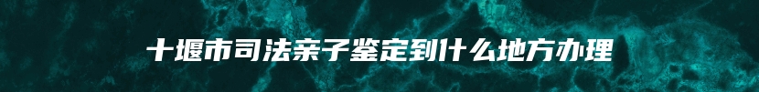 十堰市司法亲子鉴定到什么地方办理