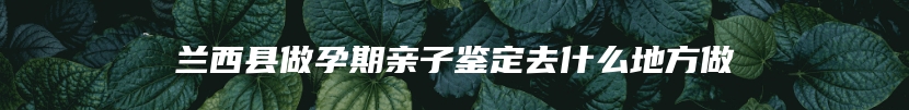兰西县做孕期亲子鉴定去什么地方做