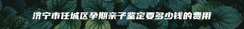 济宁市任城区孕期亲子鉴定要多少钱的费用