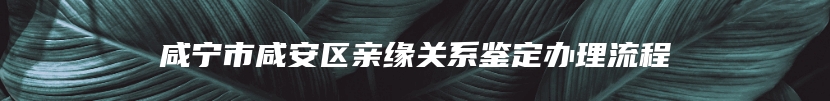 咸宁市咸安区亲缘关系鉴定办理流程