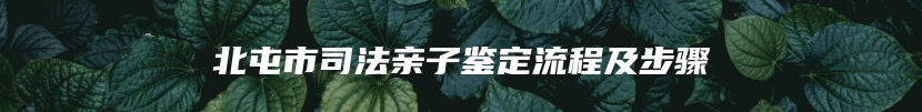 北屯市司法亲子鉴定流程及步骤