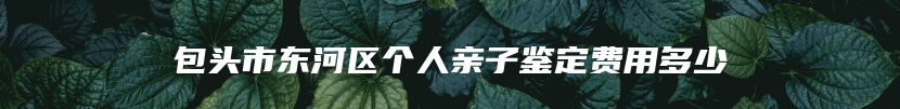 包头市东河区个人亲子鉴定费用多少