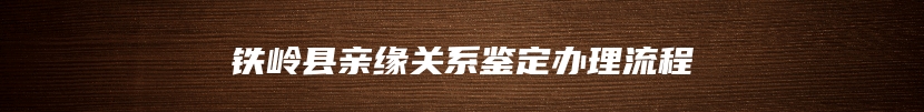 铁岭县亲缘关系鉴定办理流程