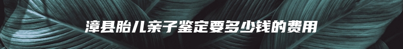 漳县胎儿亲子鉴定要多少钱的费用