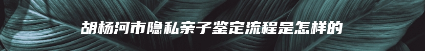 胡杨河市隐私亲子鉴定流程是怎样的