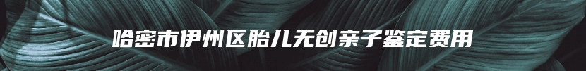 哈密市伊州区胎儿无创亲子鉴定费用