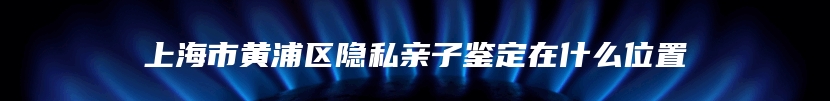 上海市黄浦区隐私亲子鉴定在什么位置