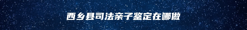 西乡县司法亲子鉴定在哪做