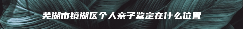 芜湖市镜湖区个人亲子鉴定在什么位置