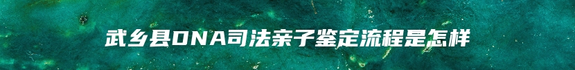 武乡县DNA司法亲子鉴定流程是怎样