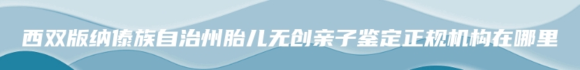 西双版纳傣族自治州胎儿无创亲子鉴定正规机构在哪里