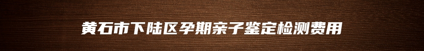 黄石市下陆区孕期亲子鉴定检测费用