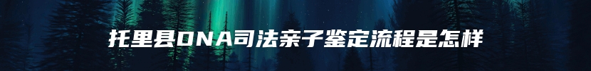 托里县DNA司法亲子鉴定流程是怎样