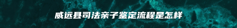 威远县司法亲子鉴定流程是怎样