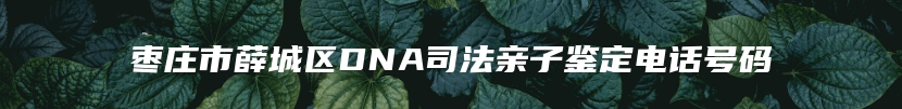 枣庄市薛城区DNA司法亲子鉴定电话号码