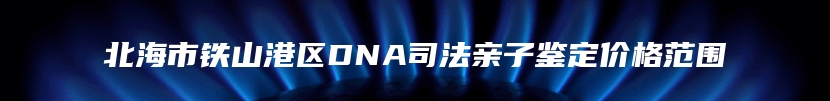 北海市铁山港区DNA司法亲子鉴定价格范围