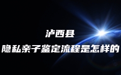 砚山县个人亲子鉴定在哪里做