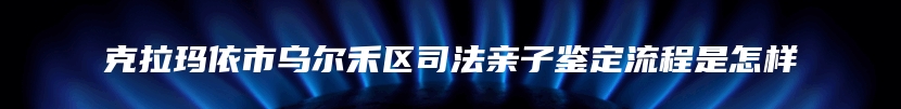 克拉玛依市乌尔禾区司法亲子鉴定流程是怎样