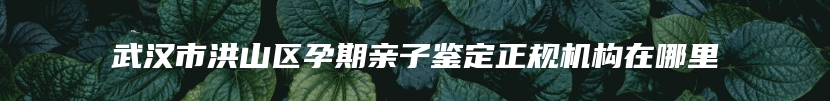 武汉市洪山区孕期亲子鉴定正规机构在哪里