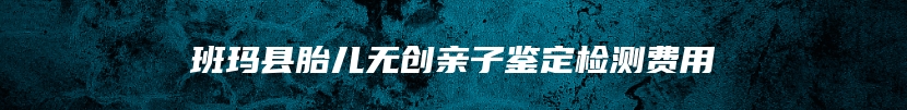 班玛县胎儿无创亲子鉴定检测费用