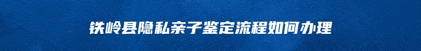 铁岭县隐私亲子鉴定流程如何办理