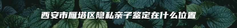 西安市雁塔区隐私亲子鉴定在什么位置