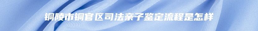 铜陵市铜官区司法亲子鉴定流程是怎样