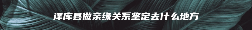 泽库县做亲缘关系鉴定去什么地方