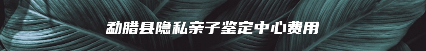 勐腊县隐私亲子鉴定中心费用