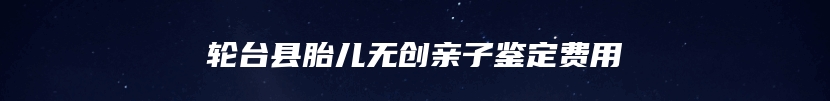 轮台县胎儿无创亲子鉴定费用