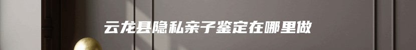 云龙县隐私亲子鉴定在哪里做