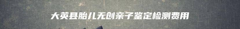 大英县胎儿无创亲子鉴定检测费用