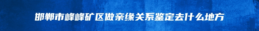 邯郸市峰峰矿区做亲缘关系鉴定去什么地方