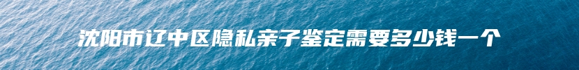 沈阳市辽中区隐私亲子鉴定需要多少钱一个