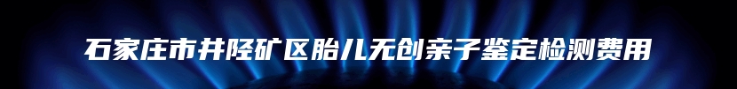 石家庄市井陉矿区胎儿无创亲子鉴定检测费用