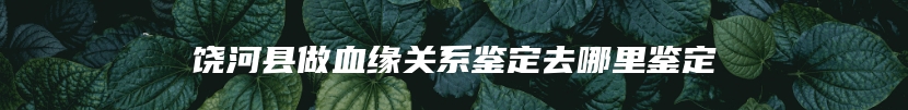 饶河县做血缘关系鉴定去哪里鉴定
