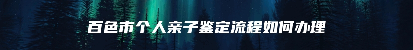 百色市个人亲子鉴定流程如何办理