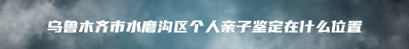 乌鲁木齐市水磨沟区个人亲子鉴定在什么位置