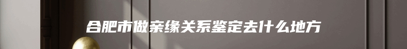 合肥市做亲缘关系鉴定去什么地方