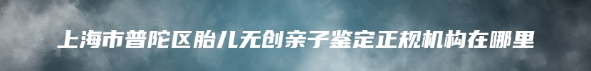 上海市普陀区胎儿无创亲子鉴定正规机构在哪里