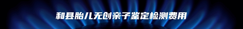 和县胎儿无创亲子鉴定检测费用