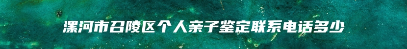 漯河市召陵区个人亲子鉴定联系电话多少