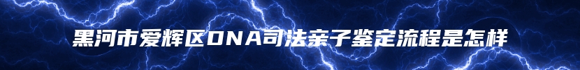 黑河市爱辉区DNA司法亲子鉴定流程是怎样