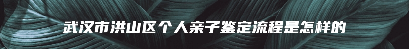 武汉市洪山区个人亲子鉴定流程是怎样的