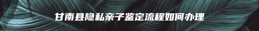 甘南县隐私亲子鉴定流程如何办理