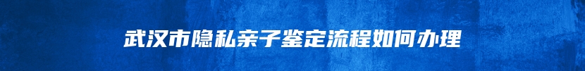 武汉市隐私亲子鉴定流程如何办理