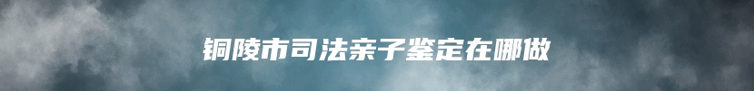铜陵市司法亲子鉴定在哪做