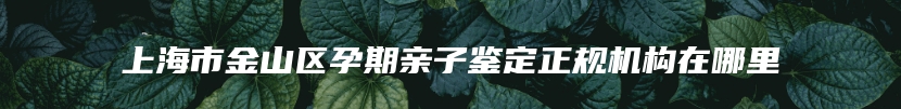 上海市金山区孕期亲子鉴定正规机构在哪里