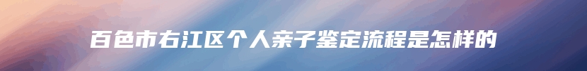 百色市右江区个人亲子鉴定流程是怎样的