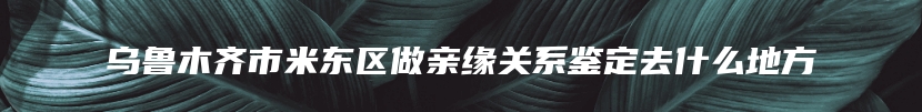 乌鲁木齐市米东区做亲缘关系鉴定去什么地方